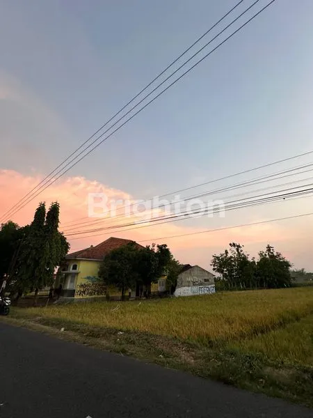 image RUMAH KLASIK LUAS 1007M² DI TRUCUK (3)