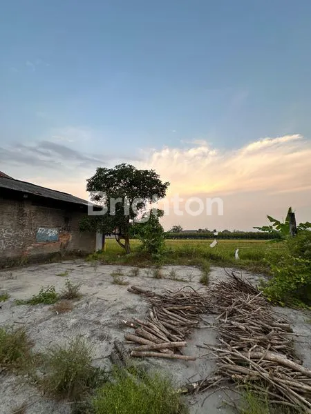 image RUMAH KLASIK LUAS 1007M² DI TRUCUK (6)