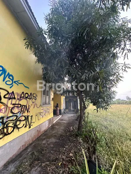 image RUMAH KLASIK LUAS 1007M² DI TRUCUK (5)