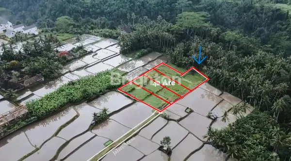 image TANAH DIJUAL DI PEJENG KANGIN LOKASI STRATEGIS LUAS 40 ARE (87A1) (3)