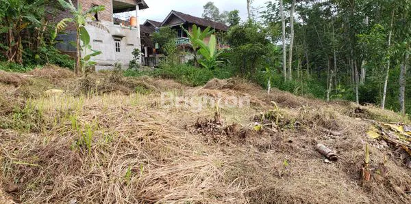 image TANAH DIKAWASAN BOJA, KABUPATEN KENDAL (1)