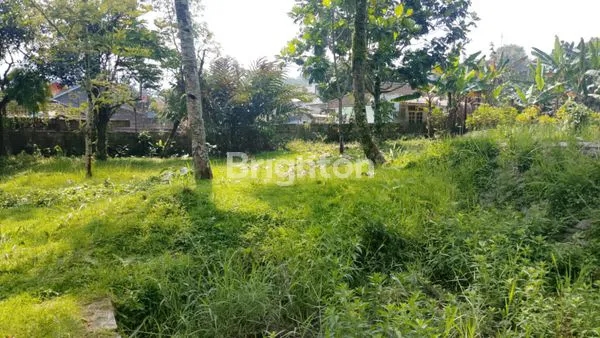 image LAHAN APIK DI CISARUA (8)