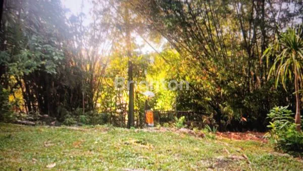 image TANAH 10 ARE SEWA LONG TERM DI PERERENAN (2)