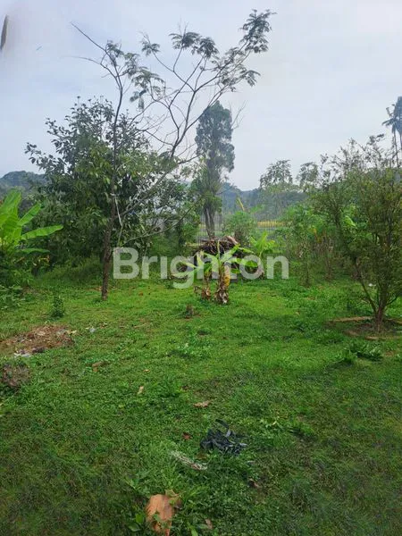 image DIJUAL RUMAH LUAS & ASRI DI WILAYAH CONGGEANG – SUMEDANG  (4)