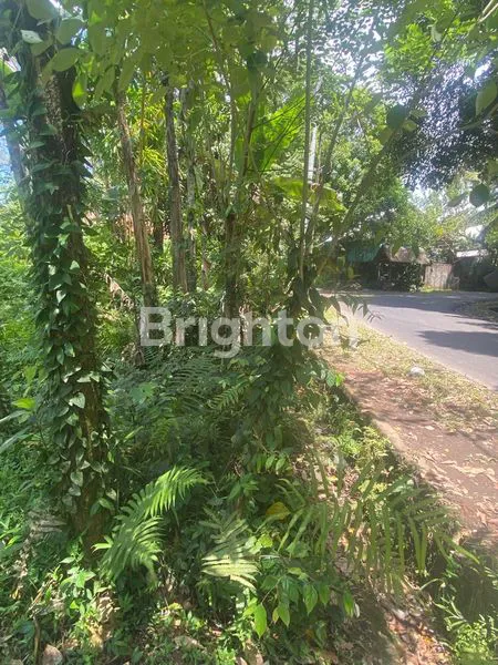 image TANAH SEWA 91 ARE VIEW JUNGLE DEKAT UBUD (5)
