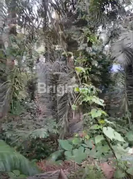 image TANAH MURAH SAYAN UBUD VIEW SUNGAI (2)