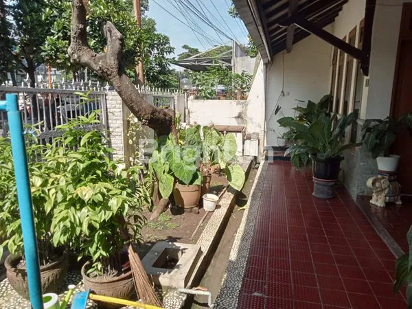image RUMAH DIJUAL (2)