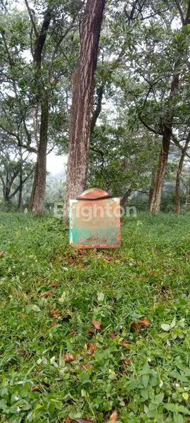 TANAH KAVLING PREMIUM SENTUL CITY