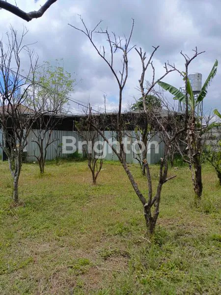 image TANAH JALAN RAYA DIENG ATAS MALANG (3)