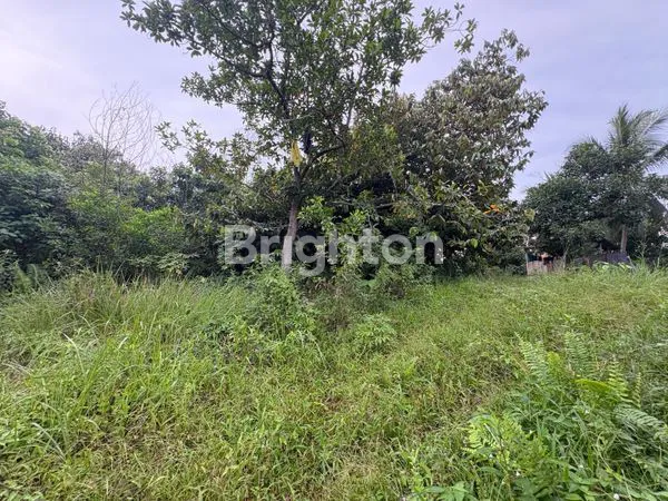 image TANAH KAPLING 360M² SHM, HANYA 250 JT (2)