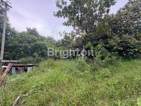 image TANAH KAPLING 360M² SHM, HANYA 250 JT (4)