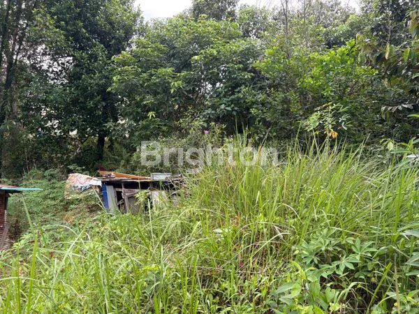 image TANAH KAPLING 360M² SHM, HANYA 250 JT (5)