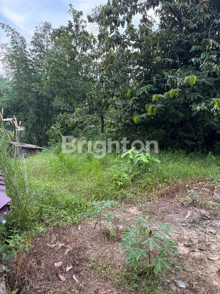 image TANAH KAPLING 360M² SHM, HANYA 250 JT (6)