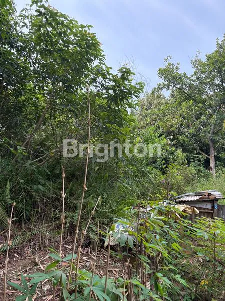 image TANAH KAPLING 360M² SHM, HANYA 250 JT (7)