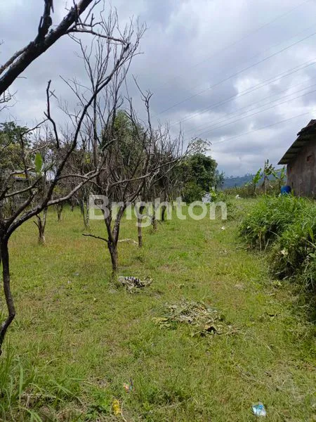 image TANAH JALAN RAYA DIENG ATAS MALANG (7)