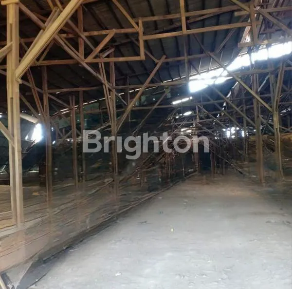 image TANAH RAYA PUSPITEK LETAK STRATEGIS PLUS GUDANG, LOKASI EMAS UNTUK USAHA RUKO GANDENG, DAN SHOW ROOM (5)