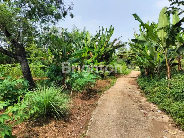 image LOKASI PREMIUM DEVELOPER! TANAH SHM 1040 M² CIODENG BALEENDAH - IDEAL UNTUK CLUSTER EKSKLUSIF! (7)