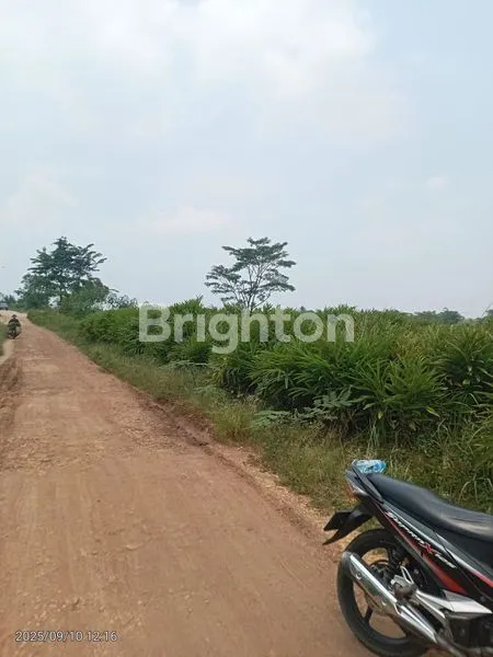 image LAHAN STRATEGIS EKSLUSIVE 5000METER WILAYAH SEDANG BERKEMBANG MAJA BANTEN (2)