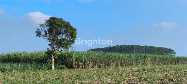 image INVESTASI LAHAN PRIMA UNTUK HUNIAN (2)