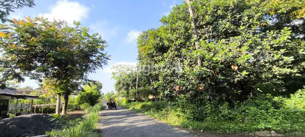 image INVESTASI LAHAN PRIMA UNTUK HUNIAN (3)