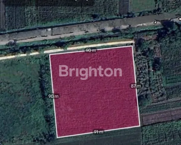 image TANAH LOKASI MOJOJAJAR MOJOKERTO (3)