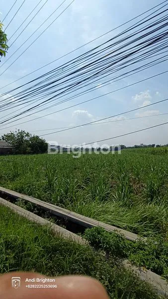 image LAHAN STRATEGIS DI PINGGIR JALAN PROVINSI PERAK JOMBANG (1)