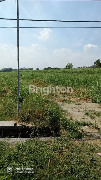 image LAHAN STRATEGIS DI PINGGIR JALAN PROVINSI PERAK JOMBANG (5)