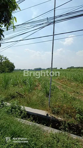 image LAHAN STRATEGIS DI PINGGIR JALAN PROVINSI PERAK JOMBANG (3)