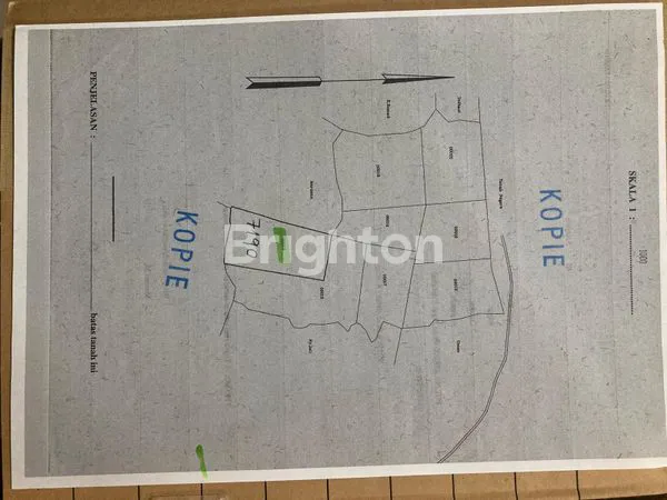 TANAH HARGA MURAH COCOK UNTUK KEBUN, PETERNAKAN DI CIGUDEG BOGOR