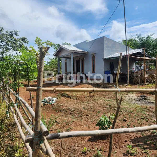 image TANAH HARGA MURAH COCOK UNTUK KEBUN, PETERNAKAN DI CIGUDEG BOGOR (3)