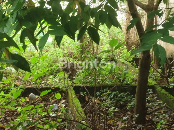 image KAVLING FULL PAGAR DI CIKEAS DIJUAL CEPAT (1)