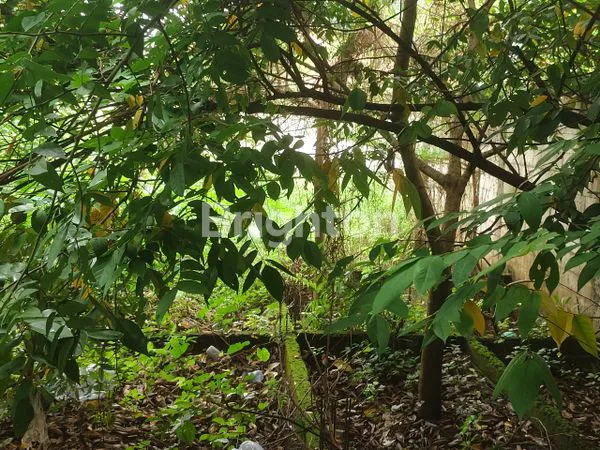 image KAVLING FULL PAGAR DI CIKEAS DIJUAL CEPAT (3)