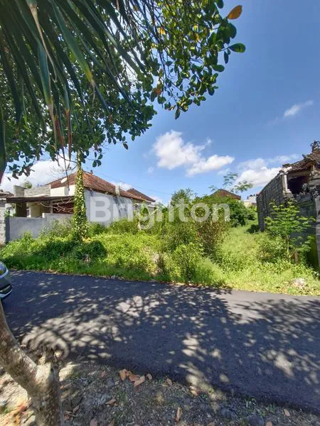 image TANAH DI DAUH PEKEN (3)