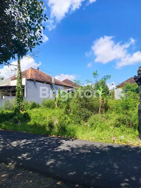 image TANAH DI DAUH PEKEN (2)