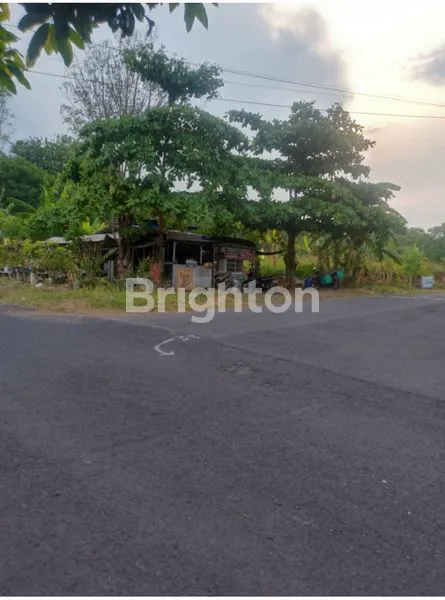 image TANAH DIBAWAH NJOP (2)