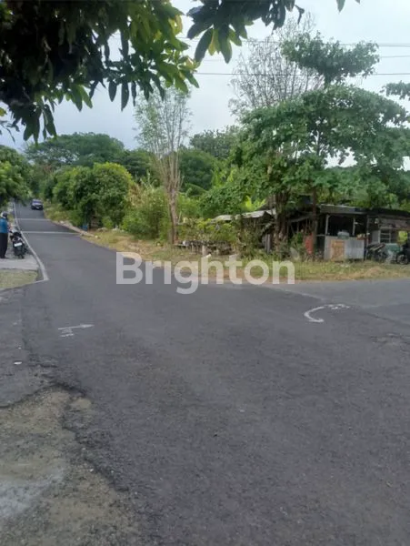 image TANAH DIBAWAH NJOP (3)