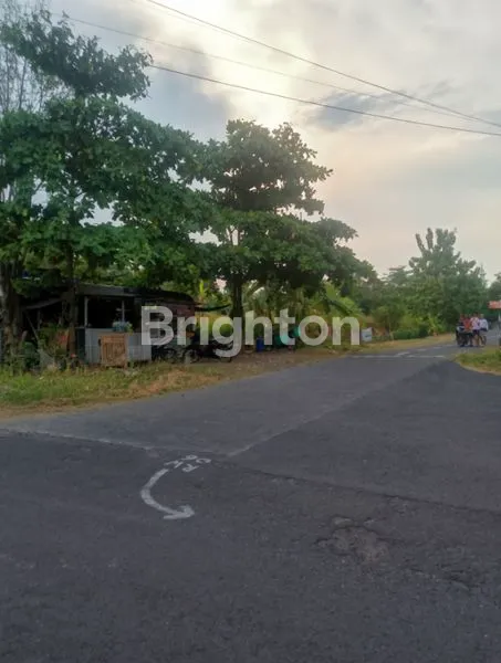 image TANAH DIBAWAH NJOP (5)