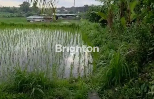 image TANAH HOOK PINGGIR JALAN UTAMA BYPAS IDA BAGUS MANTRA SEDAYU KLUNGKUNG\\NJUAL TANAH (3)