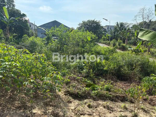 image TANAH KAPLING TEMPAT STRATEGIS SHM AKSES JALAN LANCAR  (1)