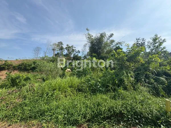 image TANAH KAPLING TEMPAT STRATEGIS SHM AKSES JALAN LANCAR  (6)