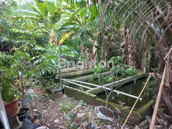 image RUMAH 1LT MEDOKAN RUNGKUT MERR SURABAYA DKT JUANDA DAN UPN (3)