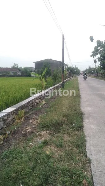 JUAL TANAH SRAGEN TEPI JALAN RAYA