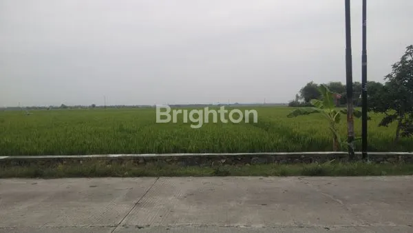 image JUAL TANAH SRAGEN TEPI JALAN RAYA  (2)