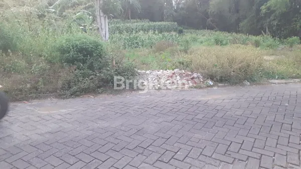 image BELAKANG UMM TLOGOMAS MALANG (3)