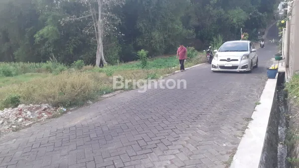 image BELAKANG UMM TLOGOMAS MALANG (1)