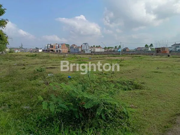 image TANAH LUAS 30000 METER (2)