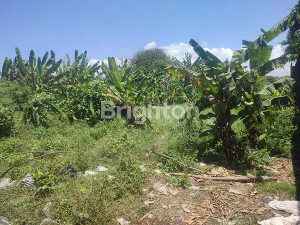 image DIJUAL TANAH STRATEGIS LANGKA DI SANUR (1)