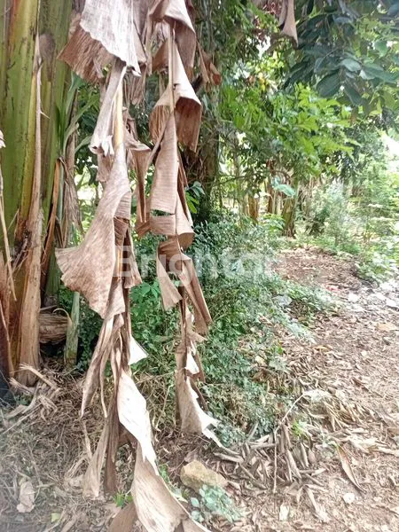 image TANAH KAVLING (1)