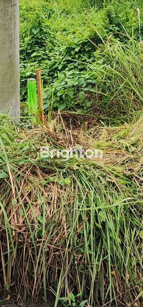 image JUAL TANAH COCOK UTK GUDANG ATAU PABRIK (2)