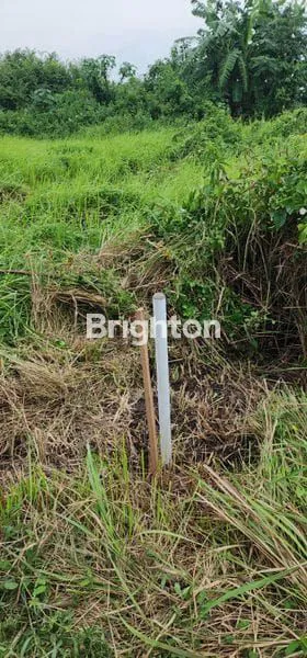 image JUAL TANAH COCOK UTK GUDANG ATAU PABRIK (3)